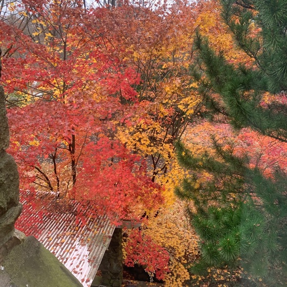 Meet your Posher, D - Picture 7 of 7